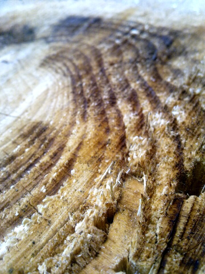 Nature holzstapel storage