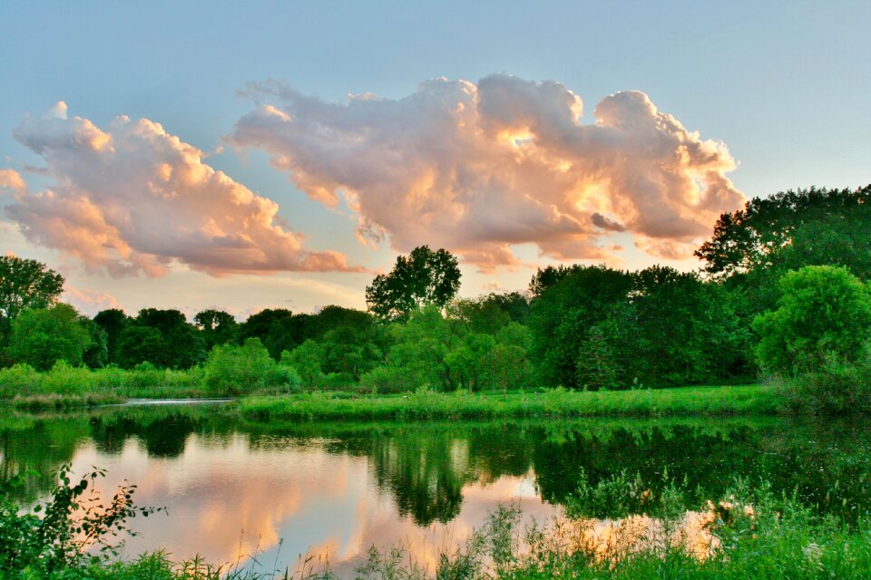 Nature landscape summer