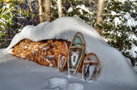 Snowshoes snow wood