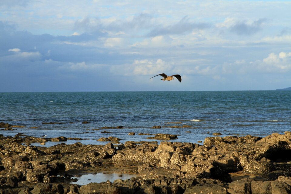 Coast ocean blue