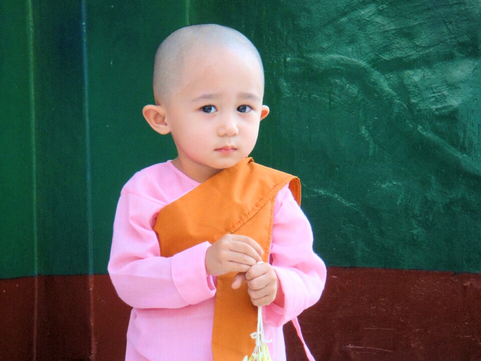 Monk sweet diffident