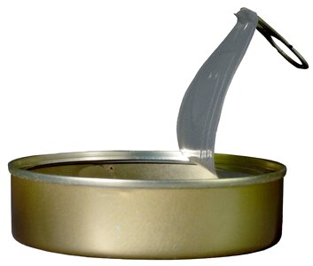 Aluminum fish