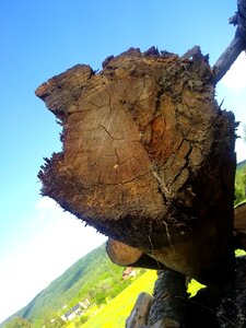 Nature holzstapel storage photo