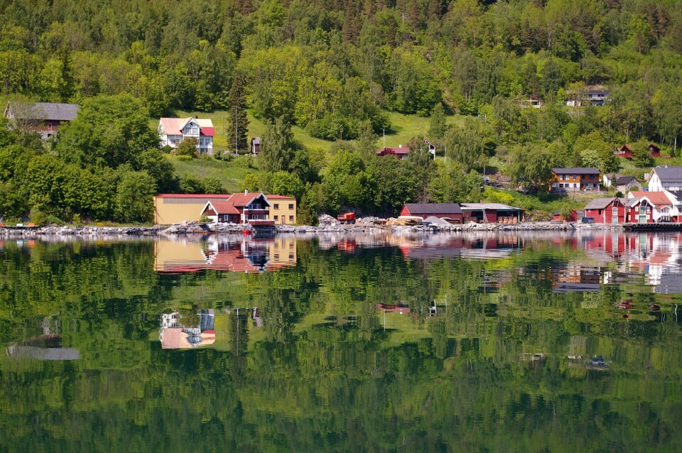 Fjord summer mirroring
