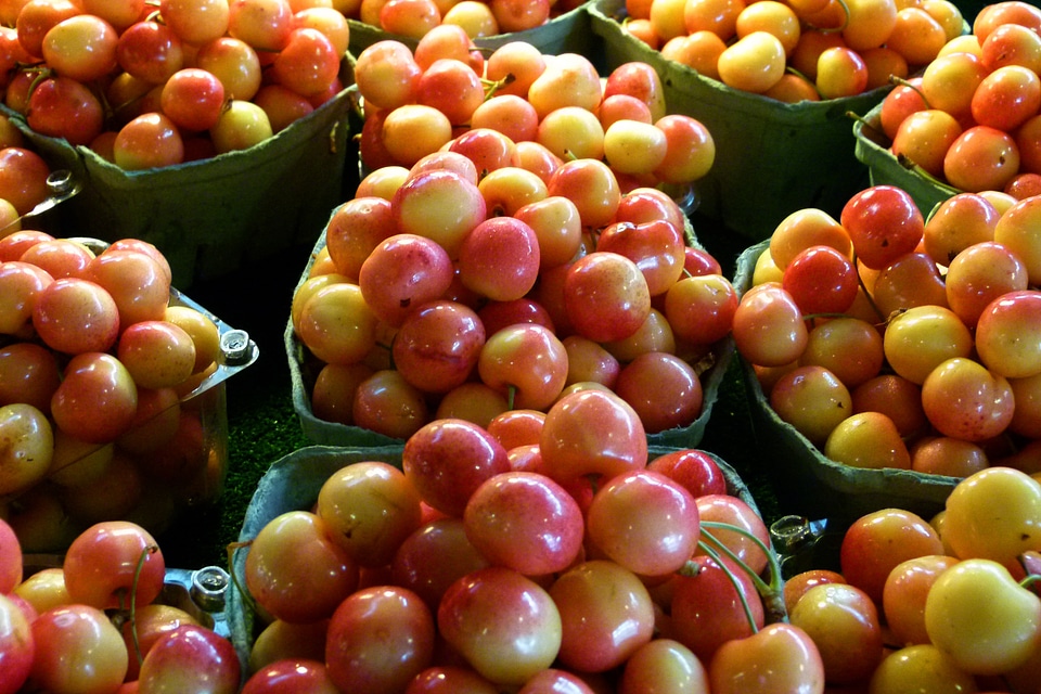 Fresh delicious vegetarian