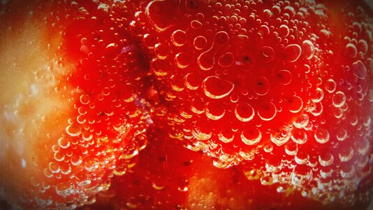 Berries fruits food
