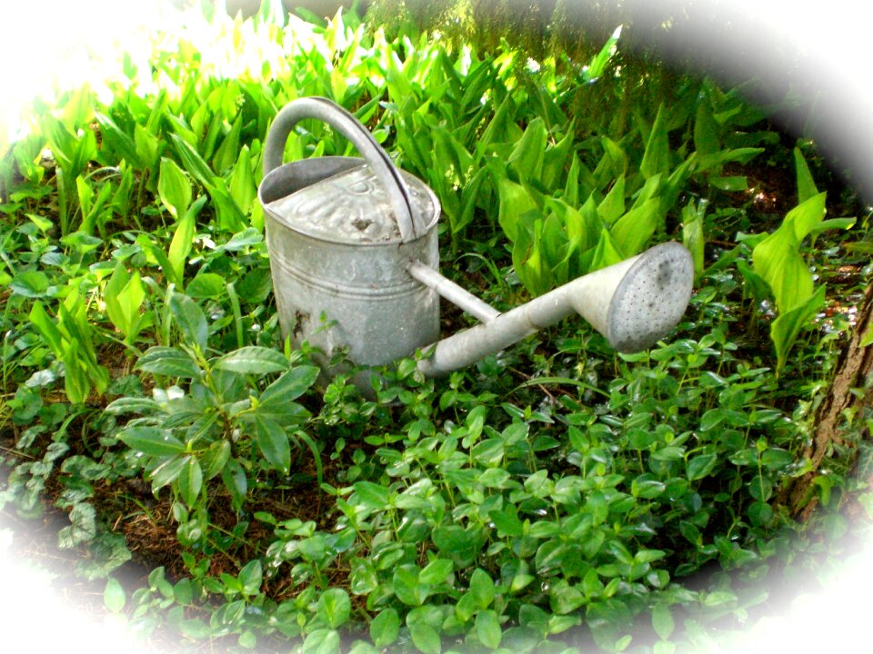 Pot decoration sheet