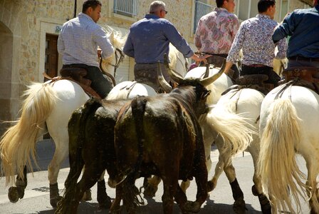 Gardians village festival feria