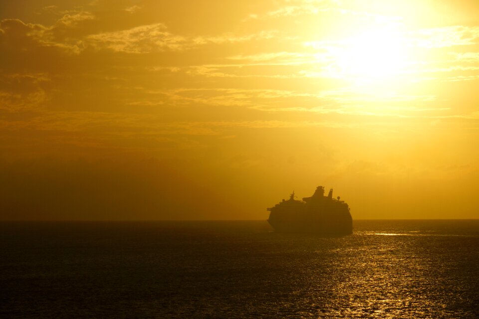 Cruise yellow orange