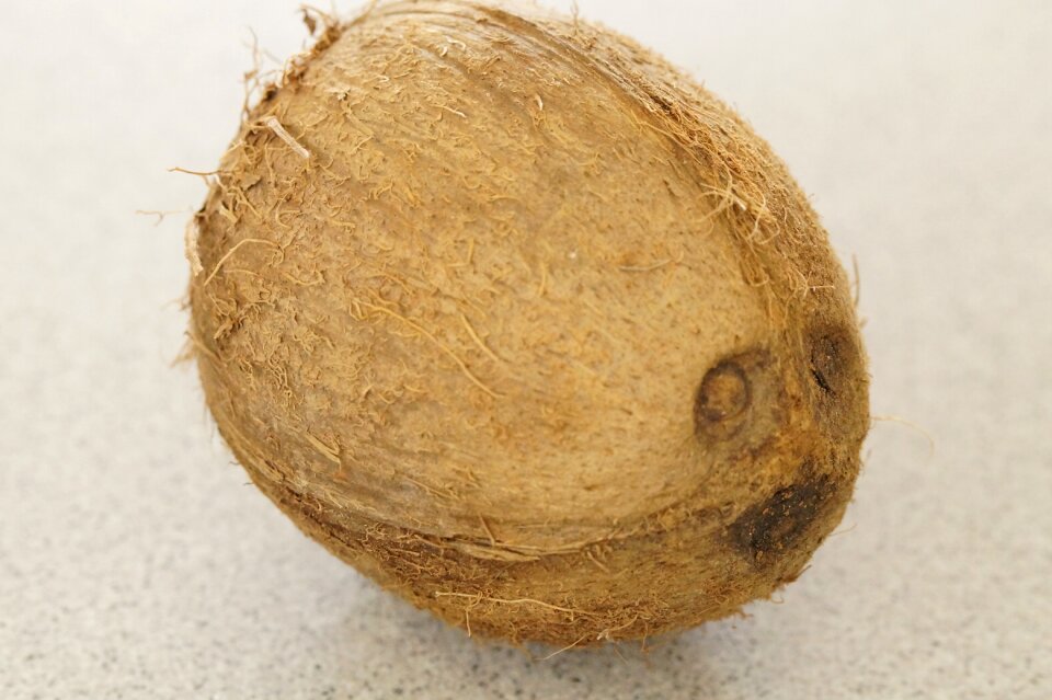 Healthy delicious shell