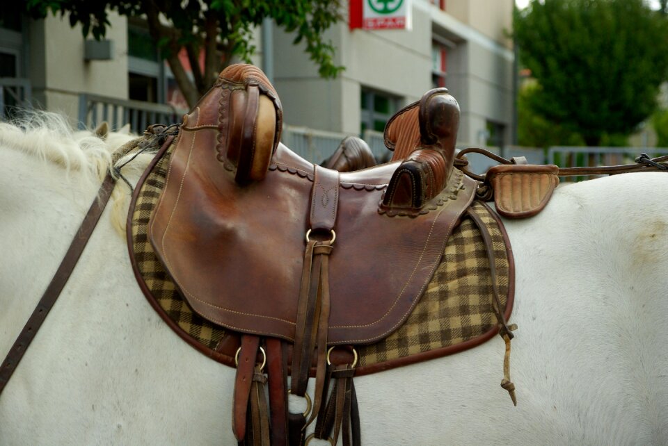 Horse saddle leather