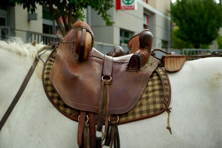 Horse saddle leather