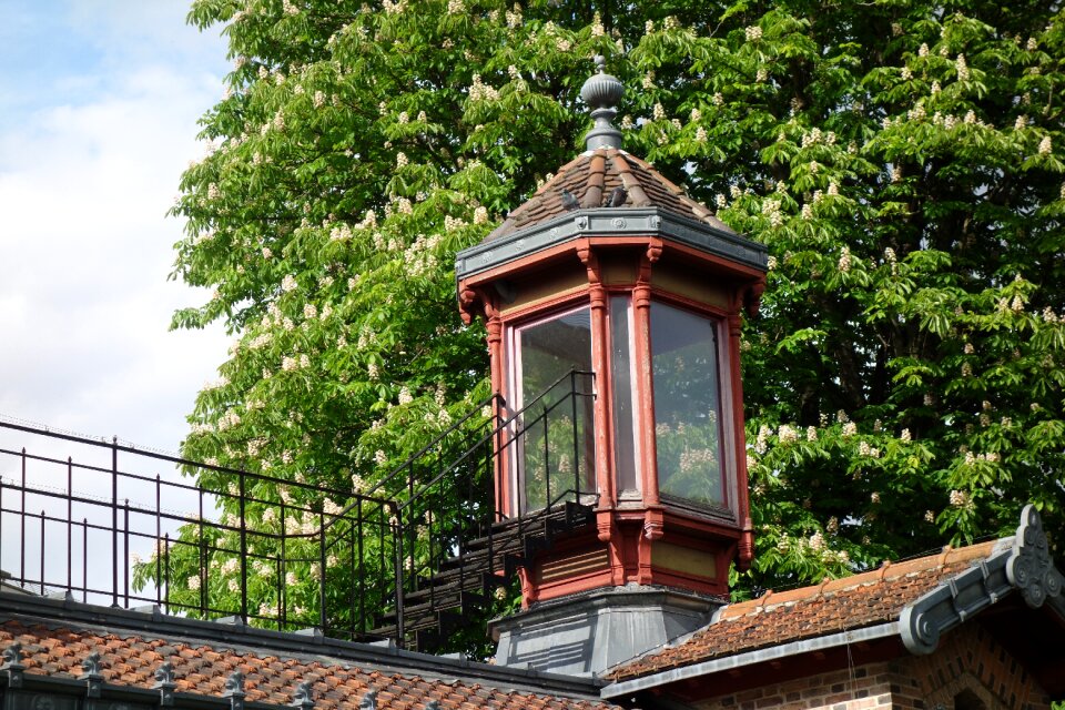 Observation tower roof jardin des plantes