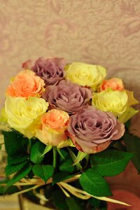 Flower nature bouquet