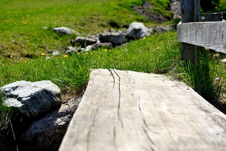 Web wood landscape