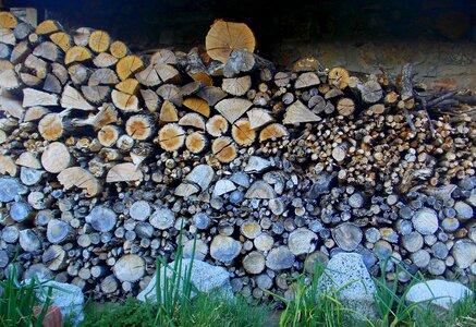 Lena wood trunks
