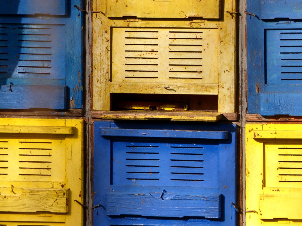 Yellow blue beehive