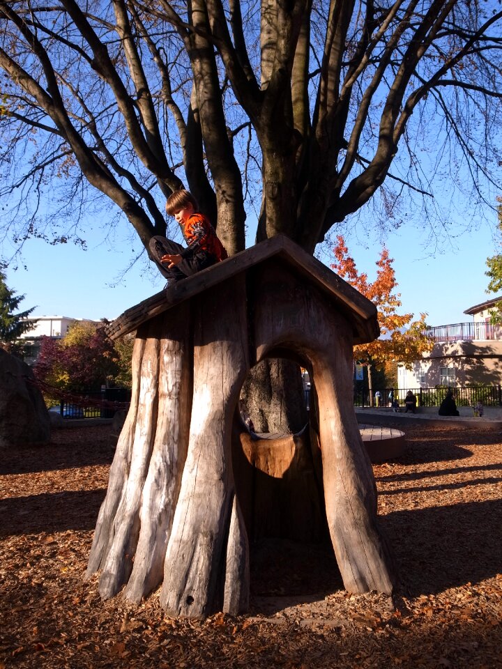 Log cabin play park