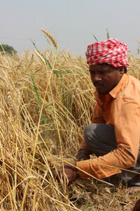 Men farmer india photo