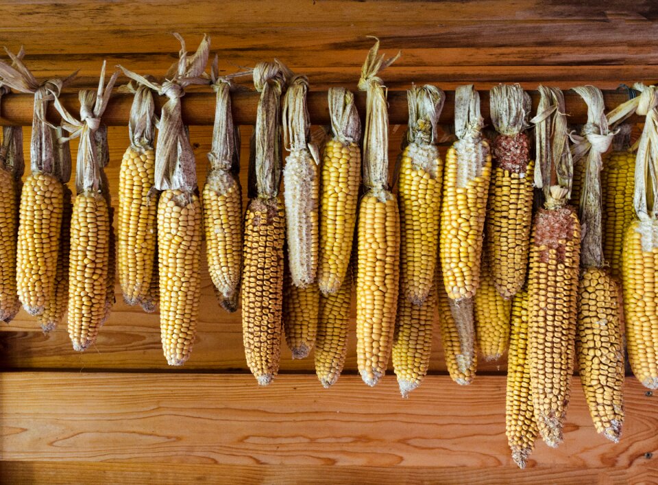 Rural wood wall