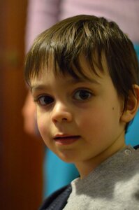 Portrait boy people