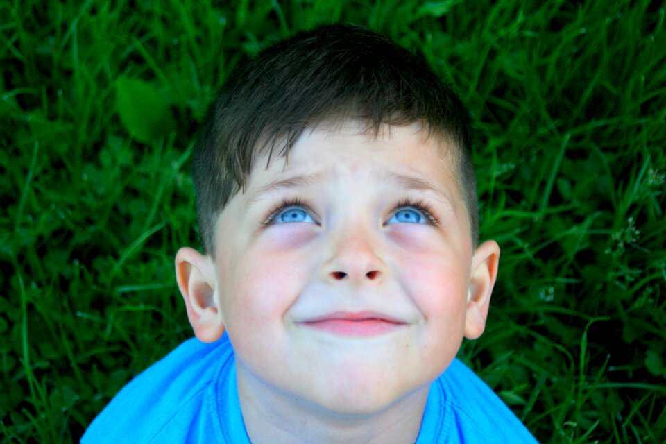 Blue about grass