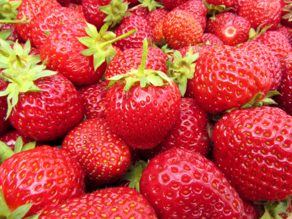 Red fruits summer