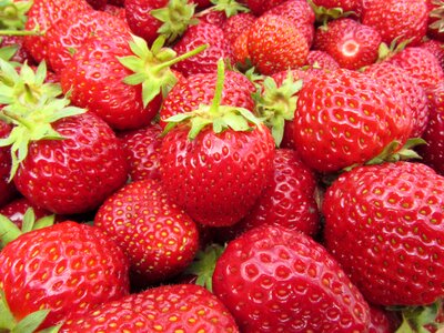 Red fruits summer