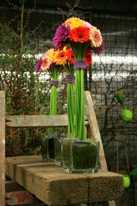 Flowers gerbera bouquet