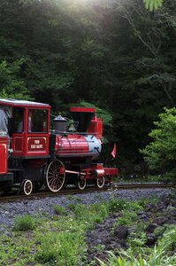 Train ecoland jeju