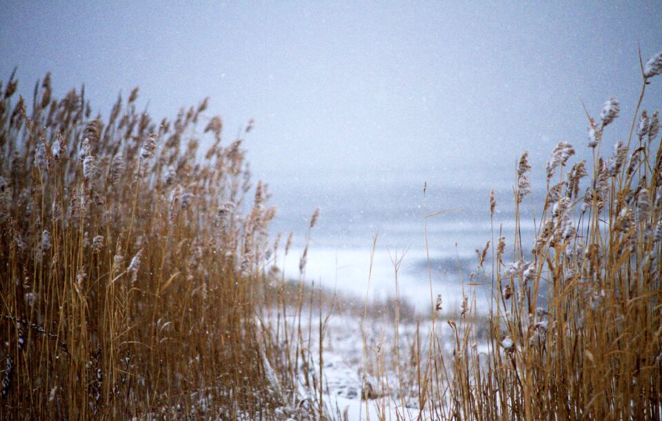 Nature sea landscape