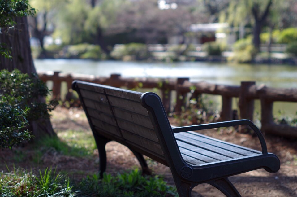 Chair pond unattended