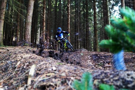 Rairdon downhill show me