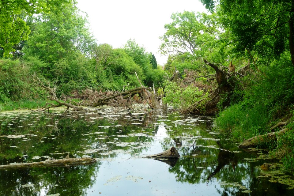 Aue water standing waters