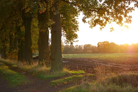 Light sunset landscape