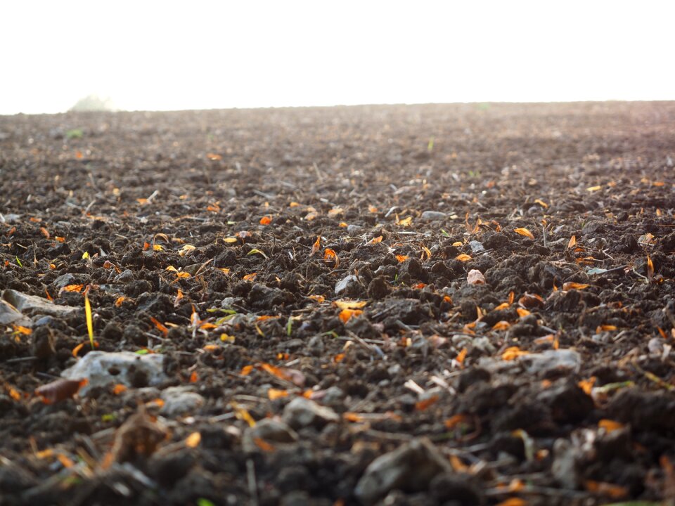 Agriculture landscape nature