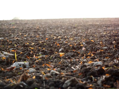 Agriculture landscape nature