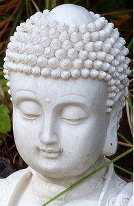 Buddhism asia statue photo