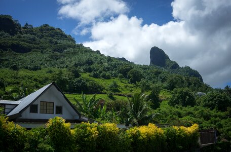 Tropical island nature
