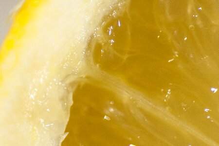 Yellow macro fresh