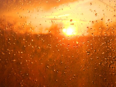 Sunset drops evening