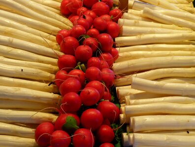 Vegetable market vegetables harvest