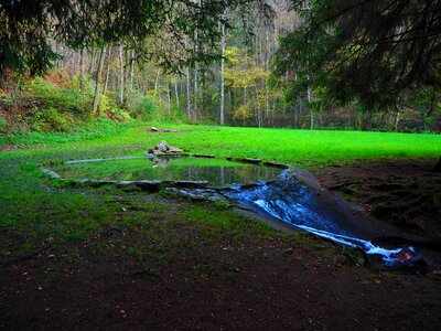 Idyll river bach photo