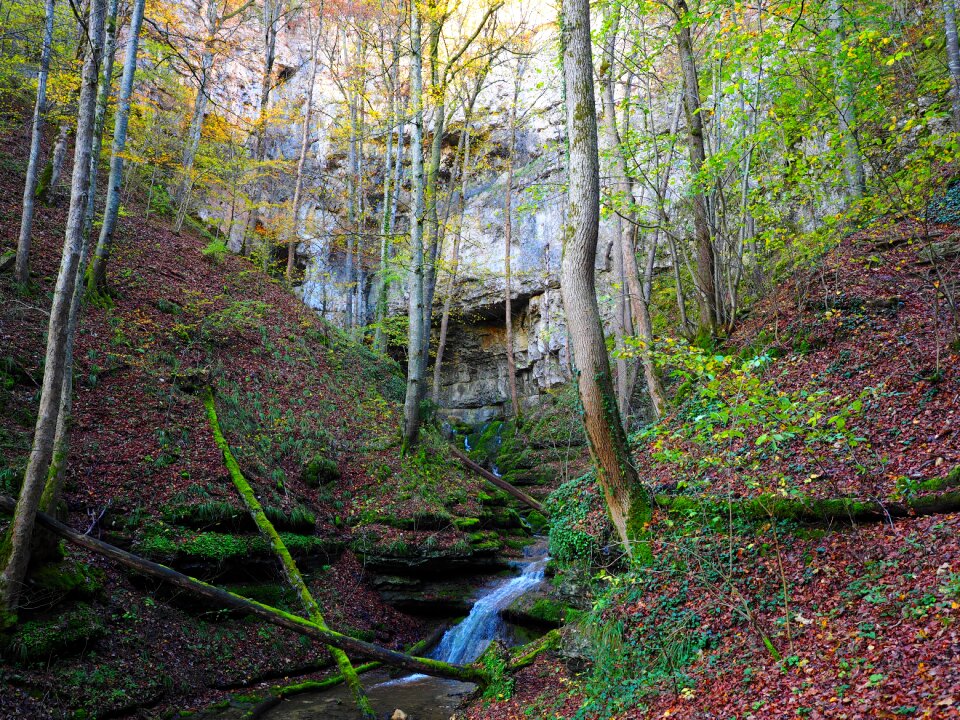 Baden württemberg swabian alb grave stetten