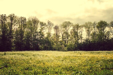 Air nature holland