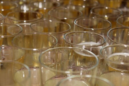 Champagne glasses glass