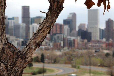 Nature skyline denver