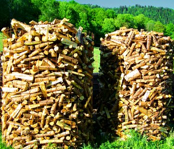 Wood columns firewood aprófa photo