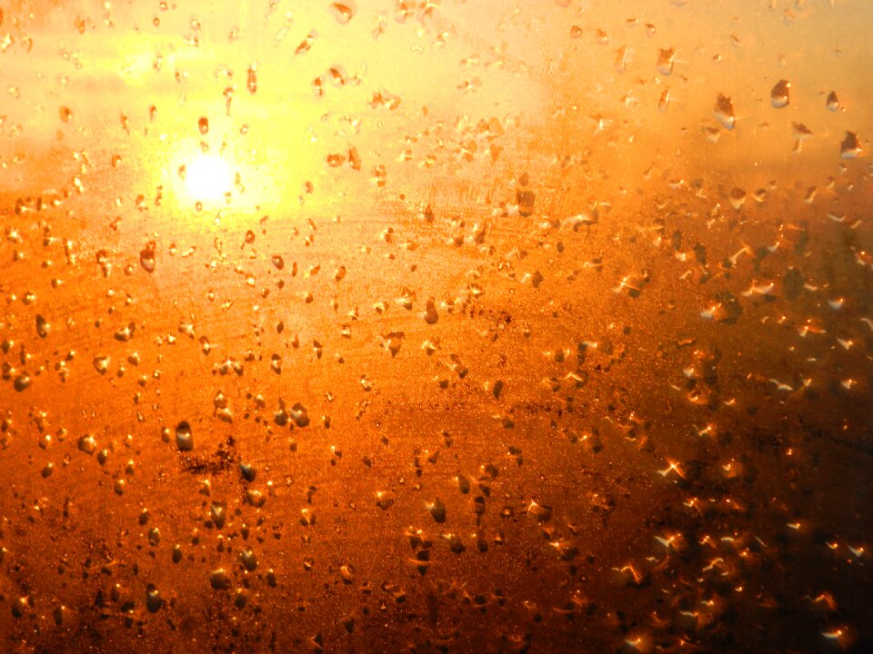 Sunset drops evening