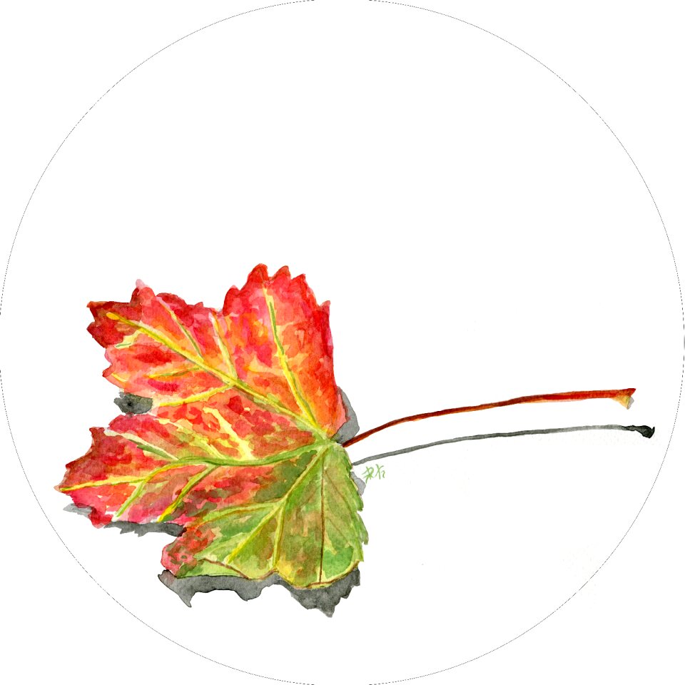 Autumn leaves forest watercolor